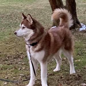 Meet your Posher, Lorie